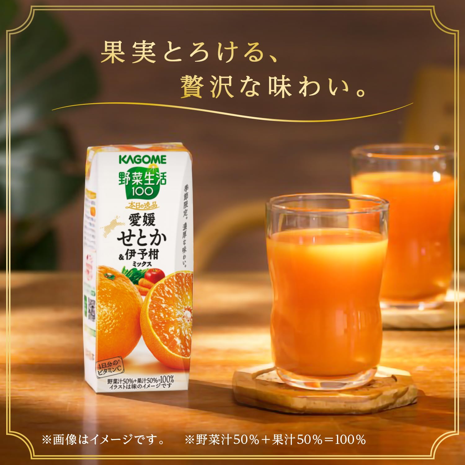 せとか？？？伊予柑 せとか みかん 愛媛 12玉 贈答用 人気 数量限定 先行予約 【2026年2月